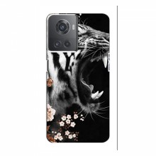 Чехлы с картинками животных OnePlus ACE (10R) - купить на Floy.com.ua