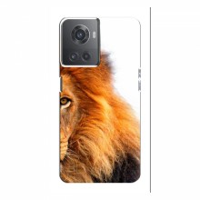 Чехлы с картинками животных OnePlus ACE (10R) Лев грива - купить на Floy.com.ua
