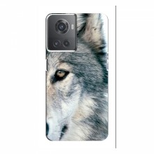 Чехлы с картинками животных OnePlus ACE (10R) Волк - купить на Floy.com.ua