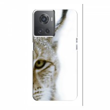 Чехлы с картинками животных OnePlus ACE (10R) Рысь - купить на Floy.com.ua
