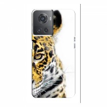 Чехлы с картинками животных OnePlus ACE (10R) Леопард - купить на Floy.com.ua