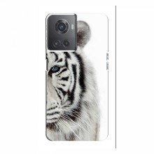 Чехлы с картинками животных OnePlus ACE (10R) Белый Тигр - купить на Floy.com.ua