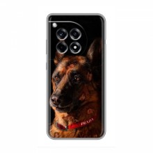 Чехлы с картинками животных OnePlus Ace 3 Овчарка - купить на Floy.com.ua