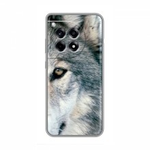 Чехлы с картинками животных OnePlus Ace 3 Волк - купить на Floy.com.ua