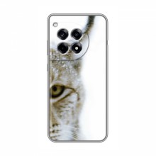 Чехлы с картинками животных OnePlus Ace 3 Рысь - купить на Floy.com.ua