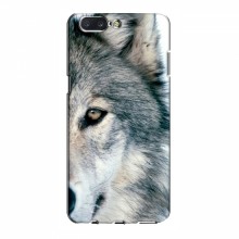 Чехлы с картинками животных OnePlus 5 Волк - купить на Floy.com.ua