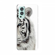 Чехлы с картинками животных OnePlus Nord 2 Белый Тигр - купить на Floy.com.ua
