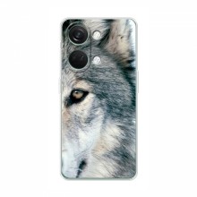 Чехлы с картинками животных OnePlus Nord 3 5G Волк - купить на Floy.com.ua
