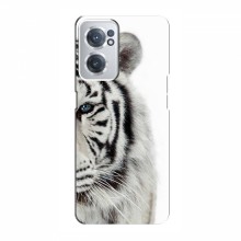 Чехлы с картинками животных OnePlus Nord CE 2 (5G) (IV2201) Белый Тигр - купить на Floy.com.ua