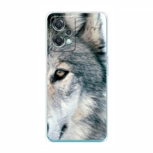 Чехлы с картинками животных OnePlus Nord CE 2 Lite 5G Волк - купить на Floy.com.ua