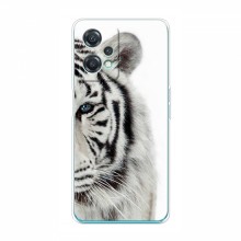 Чехлы с картинками животных OnePlus Nord CE 2 Lite 5G Белый Тигр - купить на Floy.com.ua