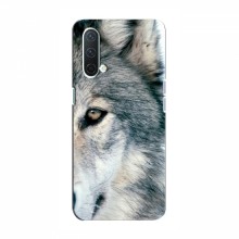 Чехлы с картинками животных OnePlus Nord CE 5G Волк - купить на Floy.com.ua
