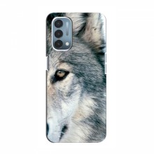 Чехлы с картинками животных OnePlus Nord N200 5G (DE211) Волк - купить на Floy.com.ua
