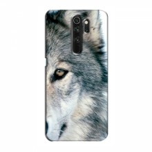 Чехлы с картинками животных OPPO A5 (2020) Волк - купить на Floy.com.ua