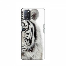 Чехлы с картинками животных OPPO A52 Белый Тигр - купить на Floy.com.ua