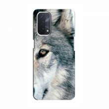 Чехлы с картинками животных OPPO a54 (5G) Волк - купить на Floy.com.ua