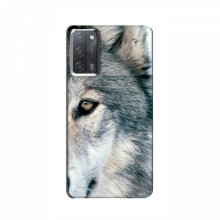 Чехлы с картинками животных OPPO A55 Волк - купить на Floy.com.ua