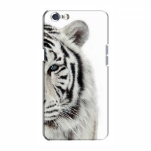 Чехлы с картинками животных OPPO A71 Белый Тигр - купить на Floy.com.ua