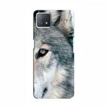 Чехлы с картинками животных OPPO a72 (5G) Волк - купить на Floy.com.ua