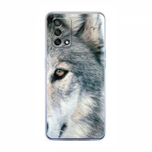 Чехлы с картинками животных OPPO A74 Волк - купить на Floy.com.ua
