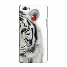 Чехлы с картинками животных OPPO F7 Белый Тигр - купить на Floy.com.ua