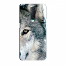 Чехлы с картинками животных OPPO R17 Pro Волк - купить на Floy.com.ua