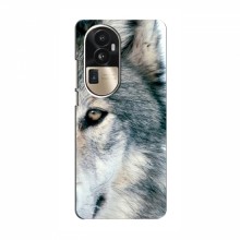 Чехлы с картинками животных OPPO Reno 10 Pro (CHINA) Волк - купить на Floy.com.ua