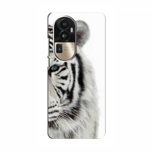 Чехлы с картинками животных OPPO Reno 10 Pro (CHINA) Белый Тигр - купить на Floy.com.ua