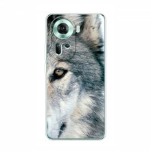 Чехлы с картинками животных OPPO Reno 11 5G Волк - купить на Floy.com.ua