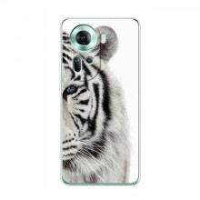 Чехлы с картинками животных OPPO Reno 11 5G Белый Тигр - купить на Floy.com.ua
