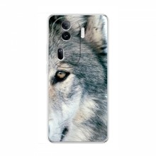 Чехлы с картинками животных OPPO Reno 11 Pro 5G Волк - купить на Floy.com.ua