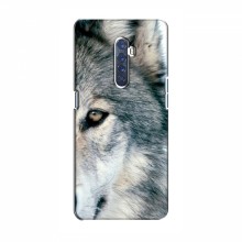 Чехлы с картинками животных OPPO Reno 2 Волк - купить на Floy.com.ua
