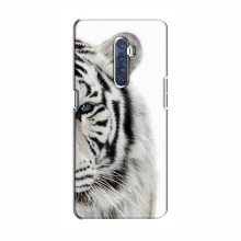 Чехлы с картинками животных OPPO Reno 2 Белый Тигр - купить на Floy.com.ua