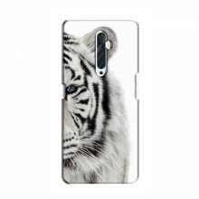 Чехлы с картинками животных OPPO Reno 2Z Белый Тигр - купить на Floy.com.ua