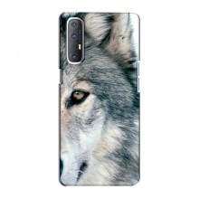 Чехлы с картинками животных OPPO Reno 3 Pro Волк - купить на Floy.com.ua