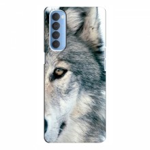 Чехлы с картинками животных OPPO Reno 4 Pro Волк - купить на Floy.com.ua