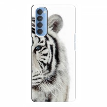 Чехлы с картинками животных OPPO Reno 4 Pro Белый Тигр - купить на Floy.com.ua