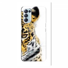Чехлы с картинками животных OPPO Reno 5 (4G) Леопард - купить на Floy.com.ua
