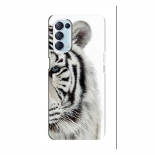 Чехлы с картинками животных OPPO Reno 5 (4G) Белый Тигр - купить на Floy.com.ua