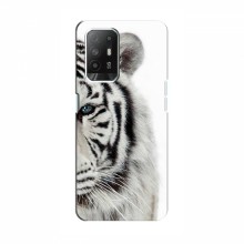 Чехлы с картинками животных OPPO Reno 5z Белый Тигр - купить на Floy.com.ua