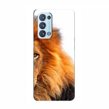Чехлы с картинками животных OPPO Reno 6 Pro (5G) Лев грива - купить на Floy.com.ua