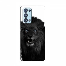 Чехлы с картинками животных OPPO Reno 6 Pro (5G) Черный ЛЕВ - купить на Floy.com.ua