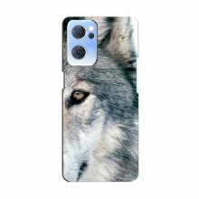 Чехлы с картинками животных OPPO Reno 7 5G Волк - купить на Floy.com.ua