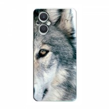 Чехлы с картинками животных OPPO Reno 7 Lite (5G) Волк - купить на Floy.com.ua