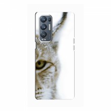 Чехлы с картинками животных OPPO Reno5 Pro Plus (5G) Рысь - купить на Floy.com.ua
