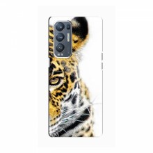 Чехлы с картинками животных OPPO Reno5 Pro Plus (5G) Леопард - купить на Floy.com.ua