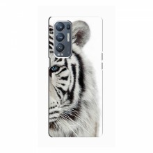 Чехлы с картинками животных OPPO Reno5 Pro Plus (5G) Белый Тигр - купить на Floy.com.ua