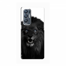 Чехлы с картинками животных OPPO Reno5 Pro Plus (5G) Черный ЛЕВ - купить на Floy.com.ua