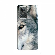 Чехлы с картинками животных RealMe 10 Pro Волк - купить на Floy.com.ua