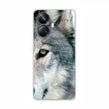 Чехлы с картинками животных RealMe 10 Pro Plus (5G) Волк - купить на Floy.com.ua